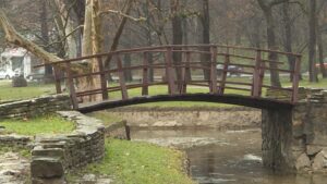 BG-POLEN-PKG-DOJ20210324-141518341.mxf-.00-00-10-15.Still003-1536x864