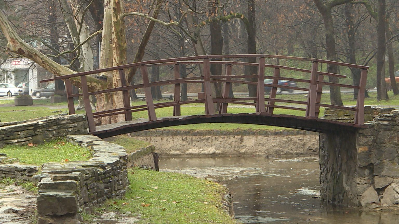 BG-POLEN-PKG-DOJ20210324-141518341.mxf-.00-00-10-15.Still003-1536x864