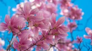 shutterstock-2499977737-e1742394530222-1000x560