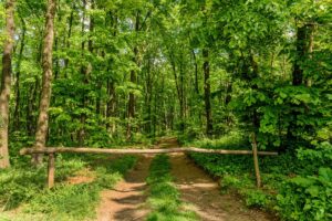 Excursion,Site,Gypsy,Camp,(izletite,Ciganski,Logor),,,Fruka,Gora,