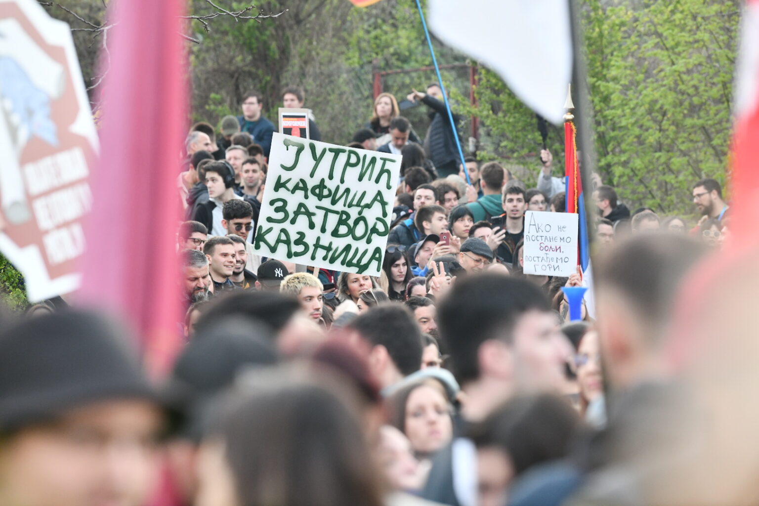 Акција 'Дезинформер