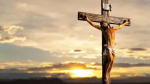 shutterstock-1571523526-e1744790960239-1000x560