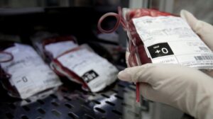 shutterstock-1615348666-e1723194241535-1000x560