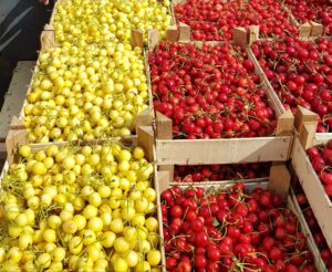 viber-slika-2025-06-10-12-13-49-430