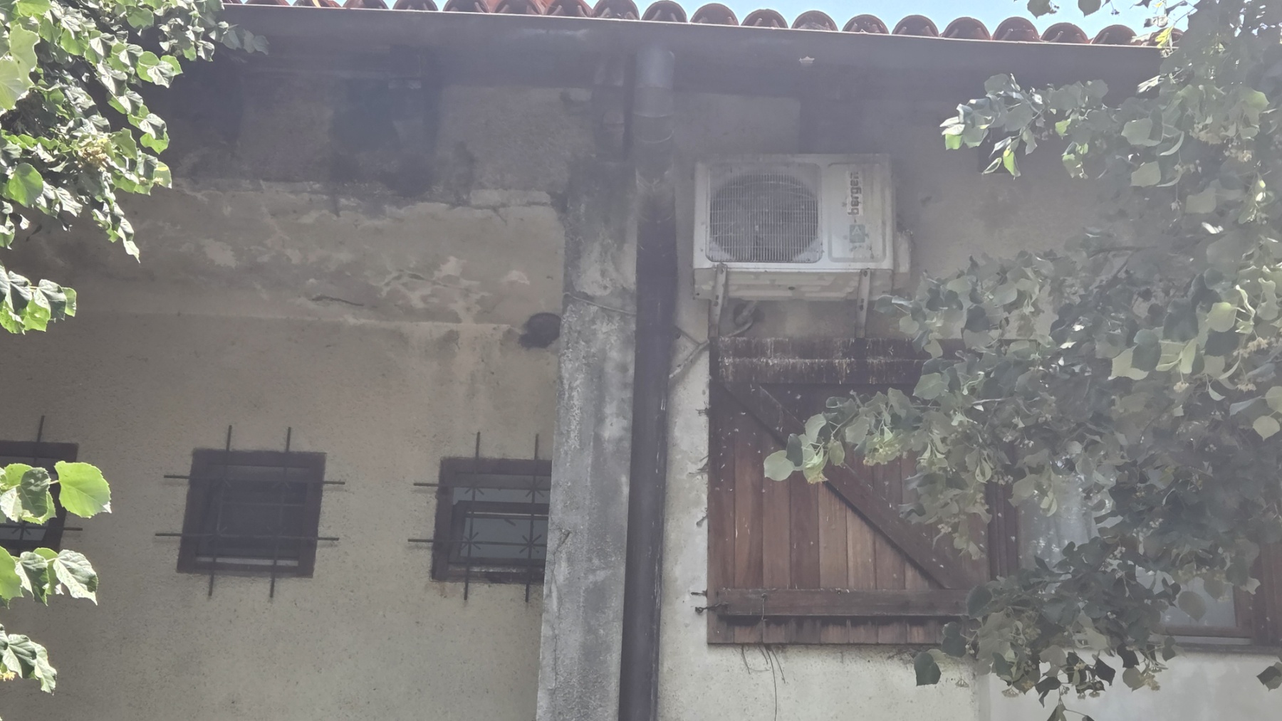 viber-slika-2025-06-24-12-09-26-535