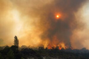 1753389764-profimedia-1025333767-1536x1024