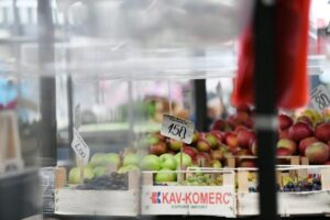 VEC-9943-01-1200x800