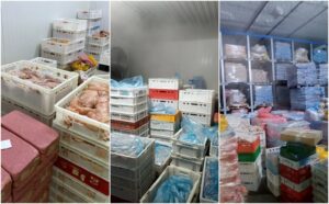 1754461784-salmonela-foto-mup-1536x954