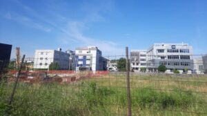 02-05-d77370dd04293b04ce4349cfae5c3fe3feb3a19cf08cb8ec53b65d2cd08cdff9-7bb67a41d77cded1-e1750708432675-1000x560