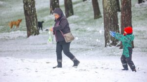 1-208-e1713346174217-1000x560