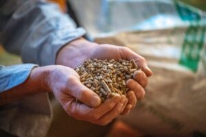 1658321545-profimedia-0666868278-1200x800