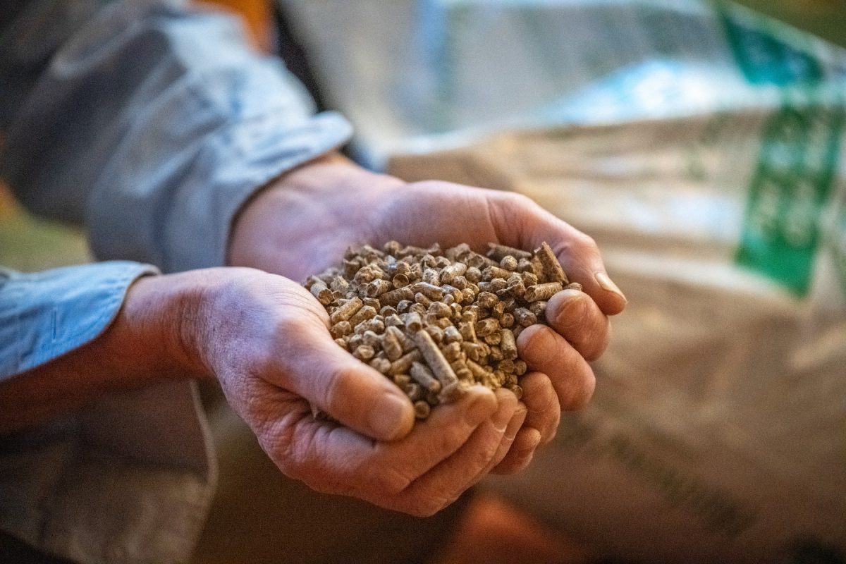 1658321545-profimedia-0666868278-1200x800