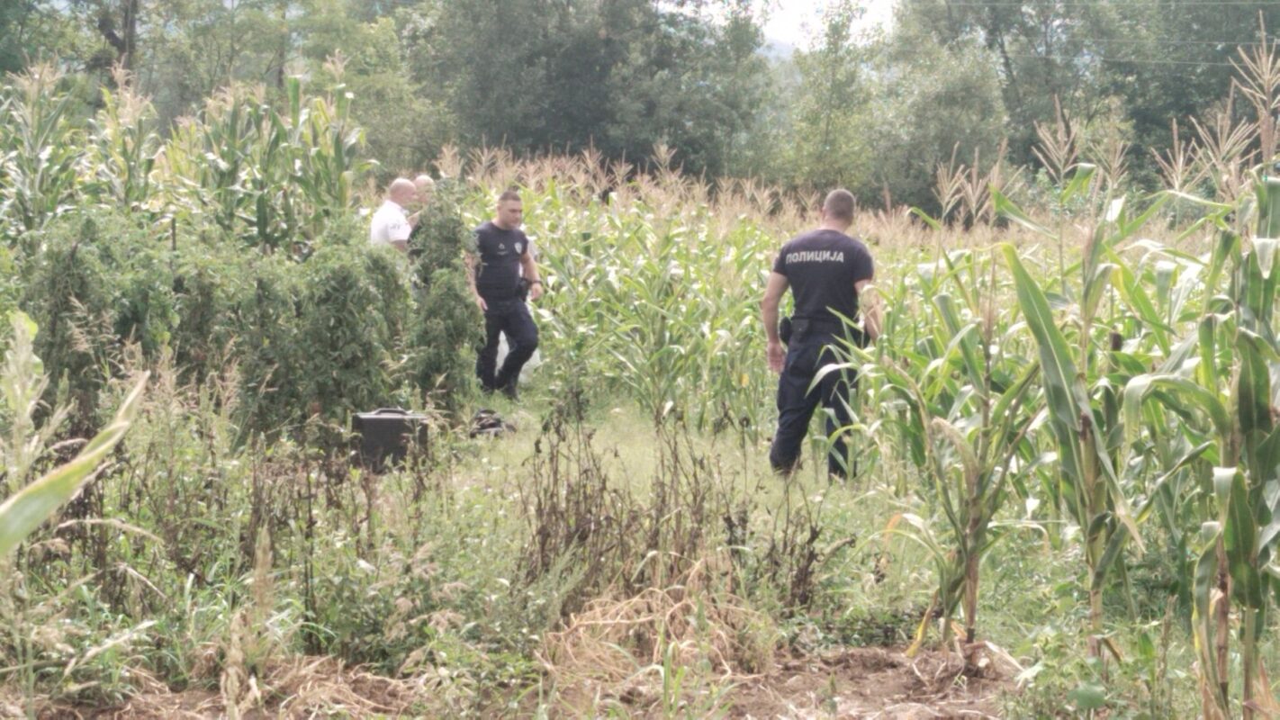 1756556251-image00005-1422x800