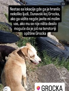 viber-slika-2025-09-06-16-09-50-917