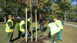 zelenilo-beograd-tasmajdanski-park-1