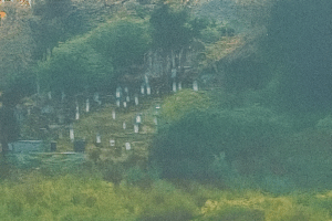 6620481e-07c7-42d5-bb65-a30c65a18e03