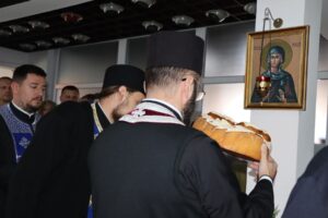 IMG-146ce4460437ef8be84235c4aaef1bbf-V