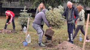 Liman-sadnice-Natasa-Kovacev-1-e1761472057757-1000x560