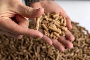 Production,Of,Wood,Pellets.,A,Type,Of,Wood,Fuel.,Used