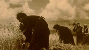 Ratne-heroine-Izlozba-Muzeja-genicida-KG-biblioteka-e1759739727441-1000x560