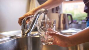 shutterstock-1135897856-e1726066646476-1000x560