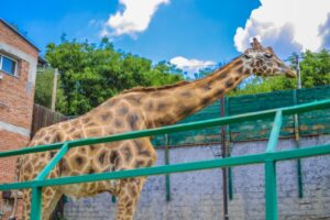 1649338972-shutterstock-1746552947-1024x683