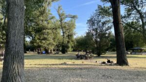 viber-image-2025-07-03-07-30-09-727-e1751697600392-1000x560