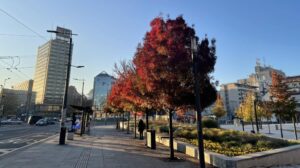 viber-image-2025-11-05-08-02-56-738-e1762326507727-1000x560