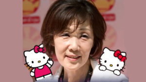 688z387-helo-kiti