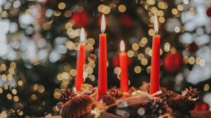 схуттерстоцк-2520603339-е1766406634925-1000x560