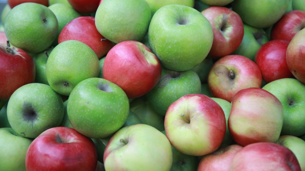 1-239-e1769689834657-1000x560