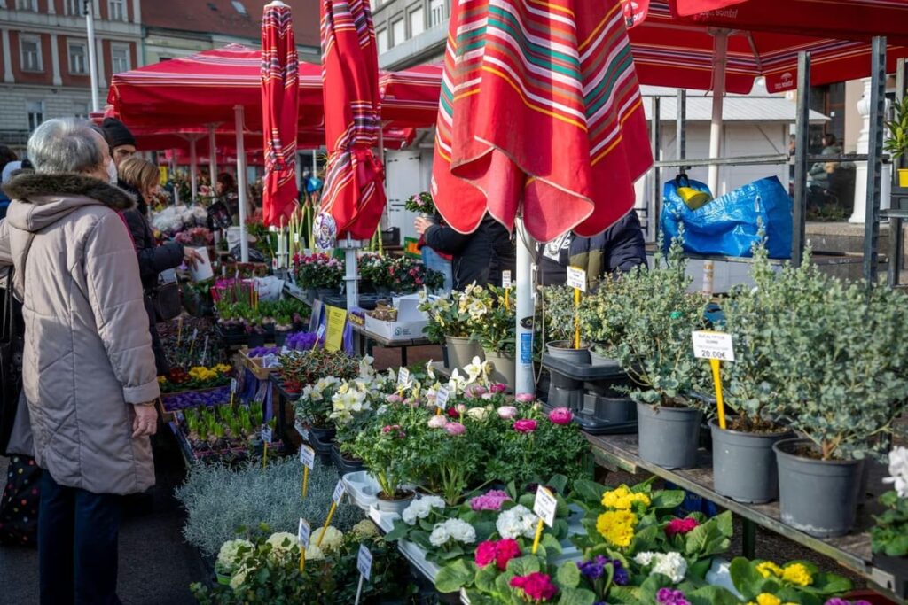 1769682778-profimedia-1070235653.format-avif.width-1200