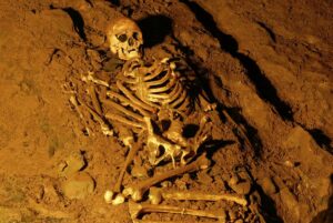 1769683797-profimedia-0146472100.format-avif.width-1200