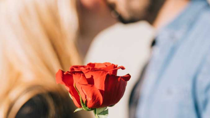688z387-red-rose-background-kissing-couple