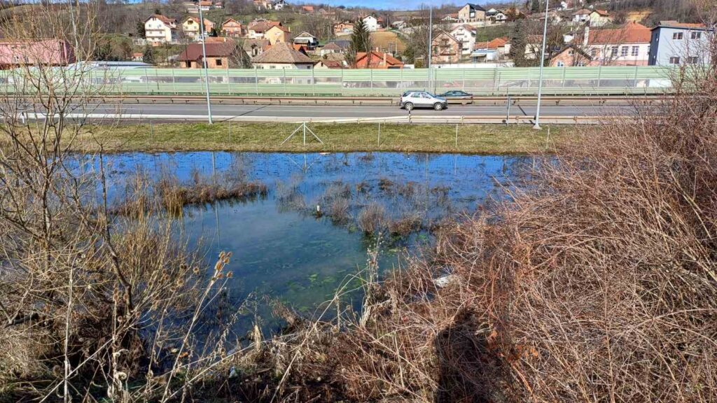 viber-image-2026-01-29-17-03-10-446