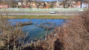 viber-image-2026-01-29-17-03-10-446