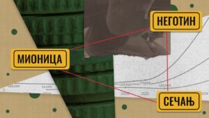 SNS-i-najskuplji-izbori-od-dolaska-na-vlast-u-Negotinu-Mionici-i-Secnju-16x9-1