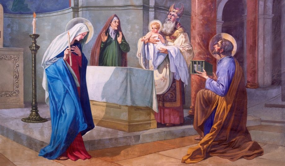 схуттерстоцк-2165594189-е1770900631991