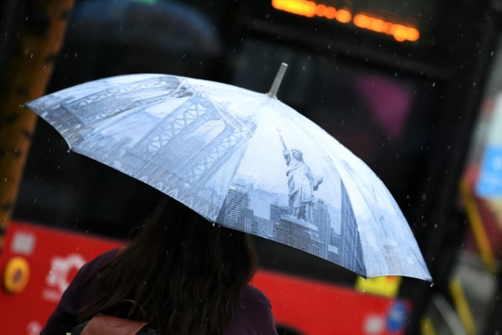 1764267459-kisa-040320-foto-Vesn.format-avif.width-1200