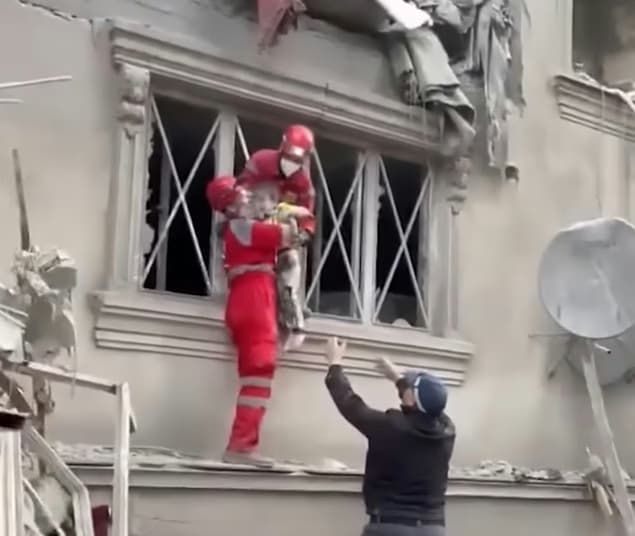 1774347909-dete.format-avif.width-900