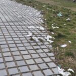 641636503-894524483354906-2965116876373321835-н