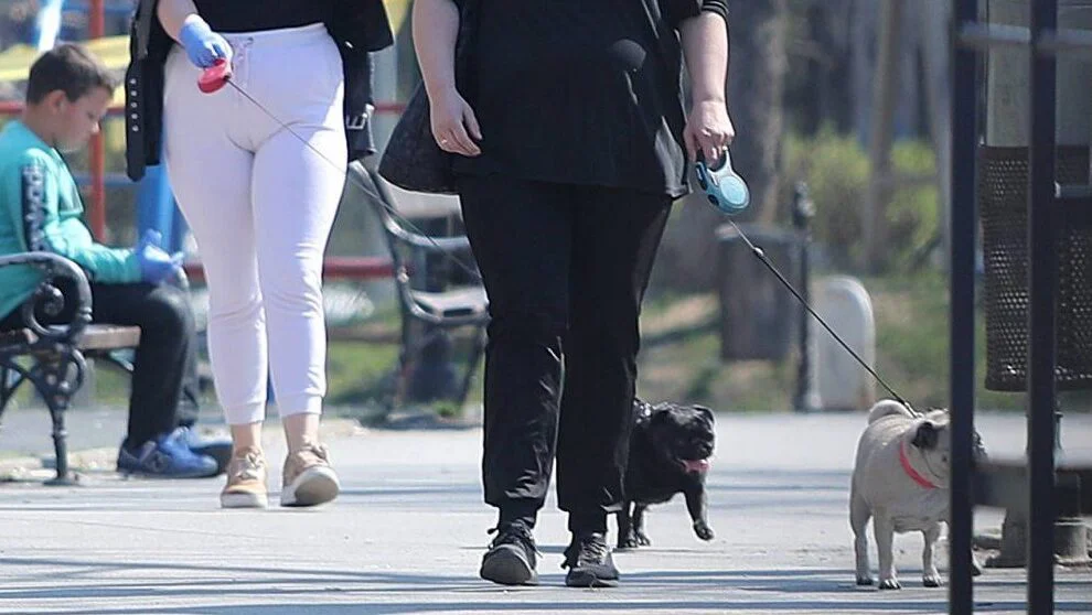 Бета-фрннгнн8цц-е1627829417415.јпг