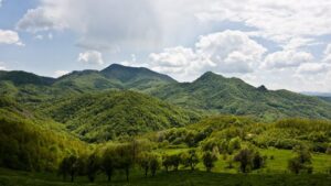 Rogozna-e1773912355715