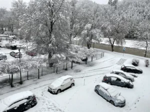 tan2026-02-2009001481-8