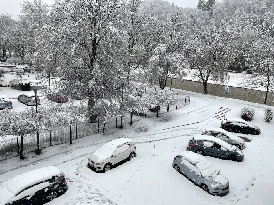 tan2026-02-2009001481-8