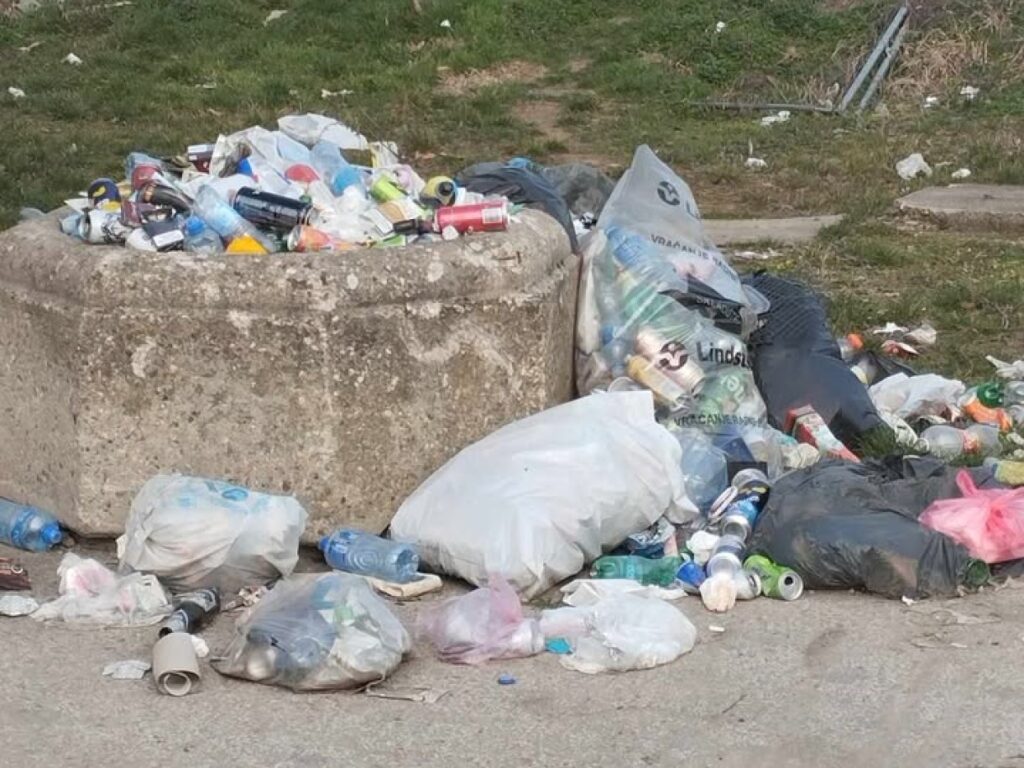 винца-смеце-ареолоско