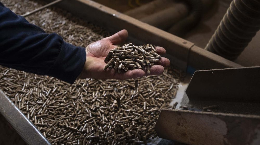 1602фото-ЕПА-ЕФЕ-ГЕОРГИ-ЛИЦОВСКИ-е1775289627456-1000x560