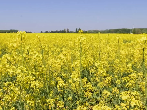 Sequence-21-00-00-11-06-Still071