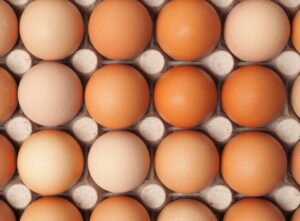 konzumiranje-jaja-i-zdravlje-zzjzdnz