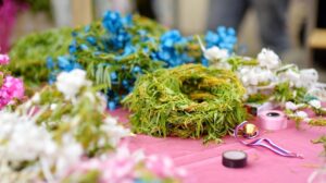 shutterstock-2424934191-1000x560